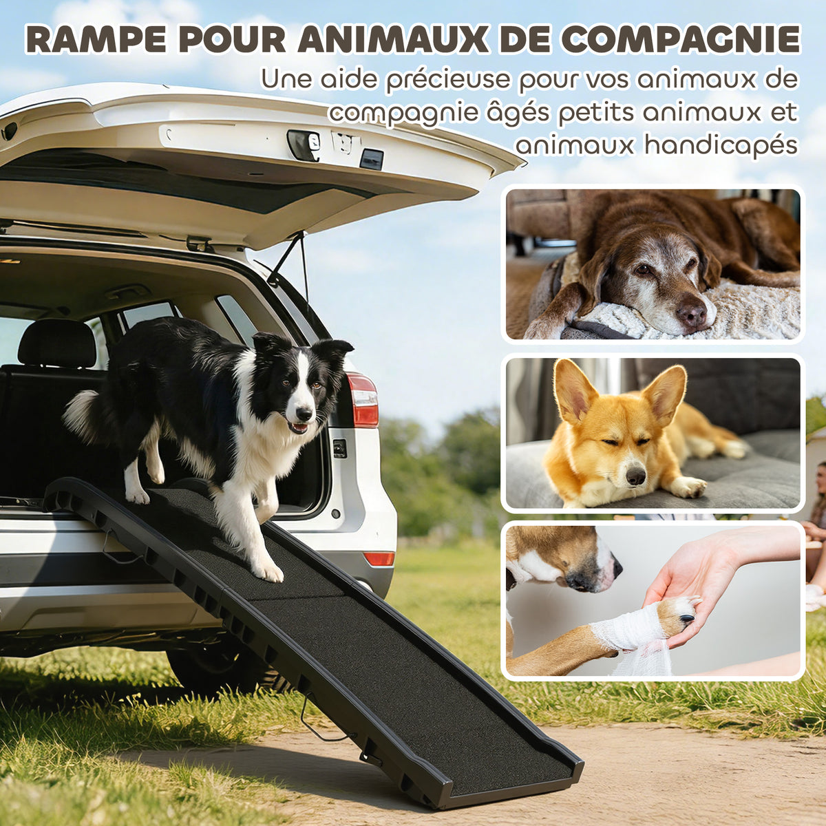 Rampa pieghevole per cani, scaletta in PP con pendenza dolce e superficie antiscivolo, 155x38,5x15,5 cm, nera.